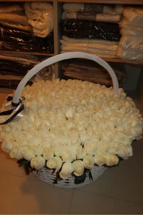 301,белая роза,вчера получила