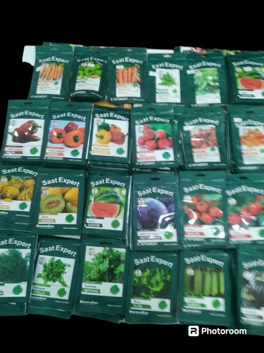 Дала уруглари германия