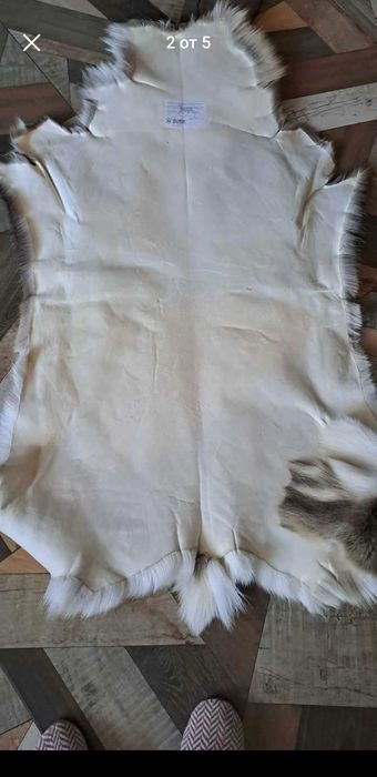 Кожа от северен елен