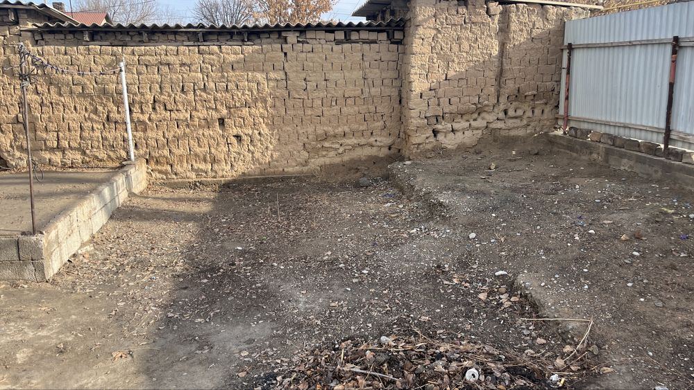 Арыс қаласында Уй сатылады