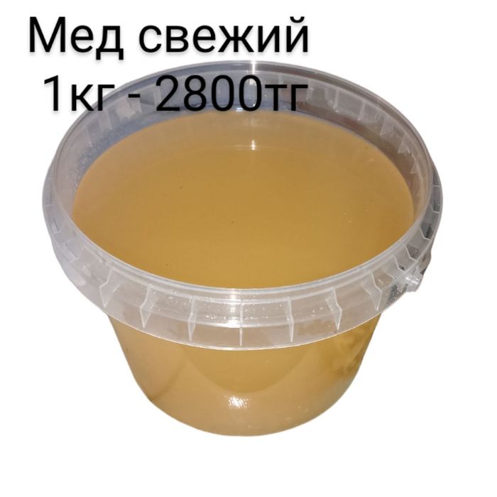 Прополис настойка прополиса мед дачный Астана