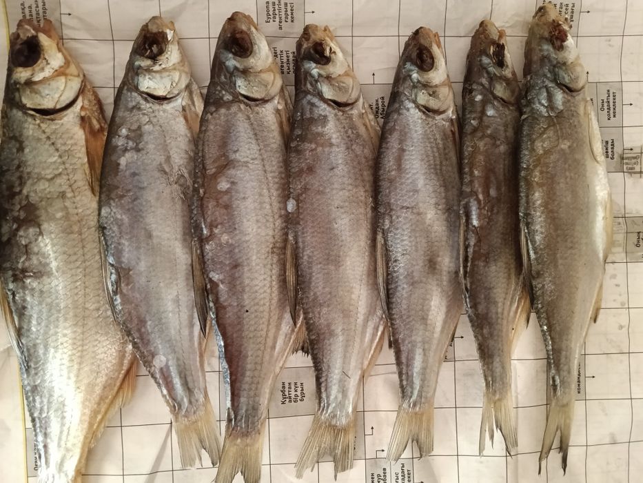 Продам вяленные рыбы