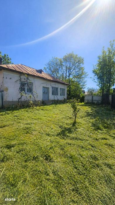 Teren Mlecănești Mischii