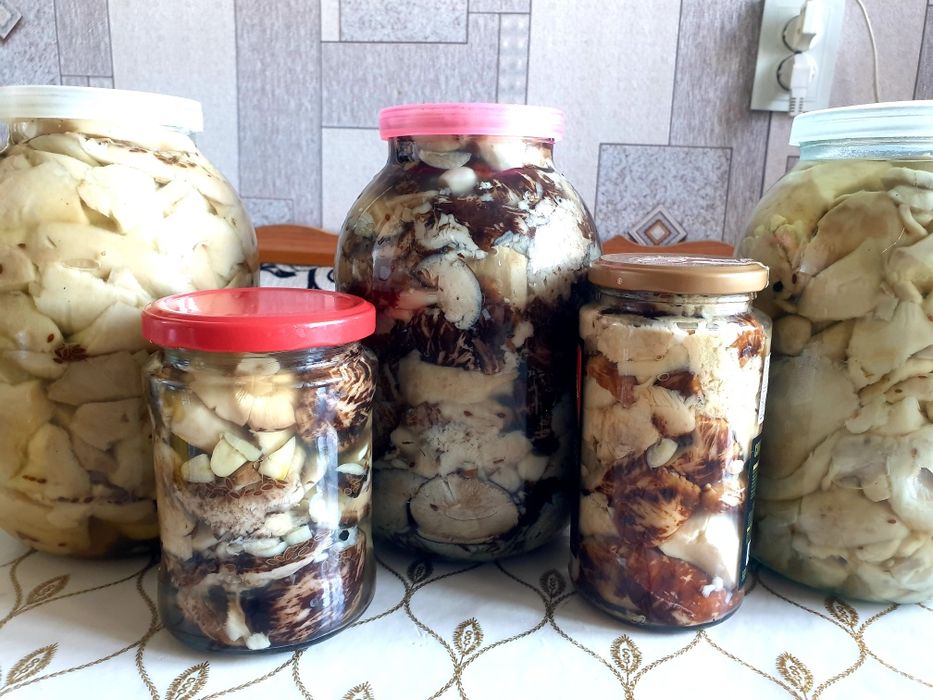 Продам солёные грибы