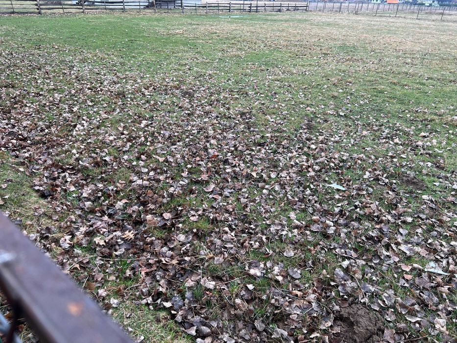 Vand teren intravilan in Horodnic de Sus strada Toplitei  30 ari