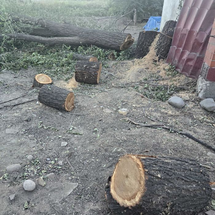 Отдам на дрова деревья, самовывоз