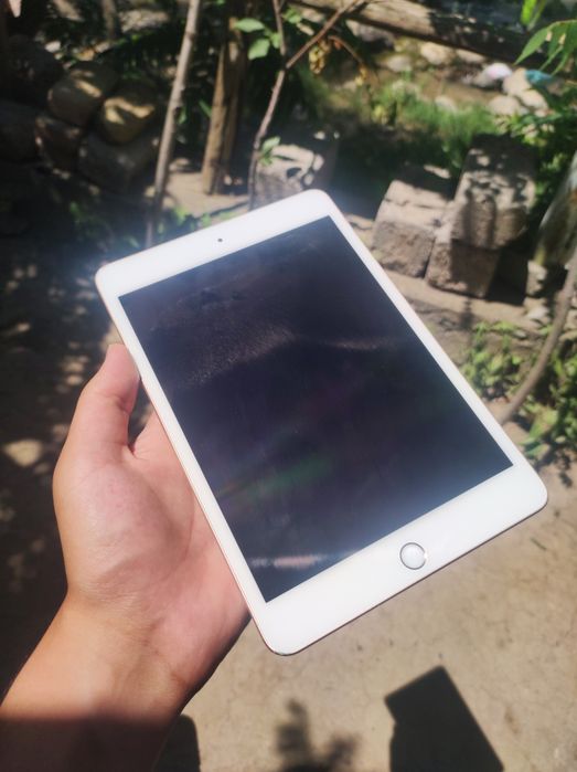 Ipad Mini 5 64 WiFi