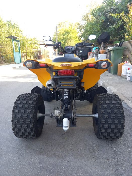 Can-Am  DS 250 Нов внос