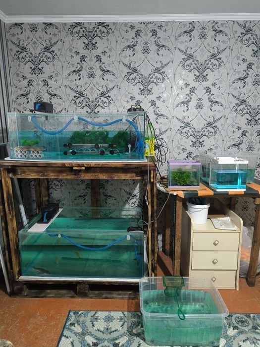 Продам аквариум можно как террариум