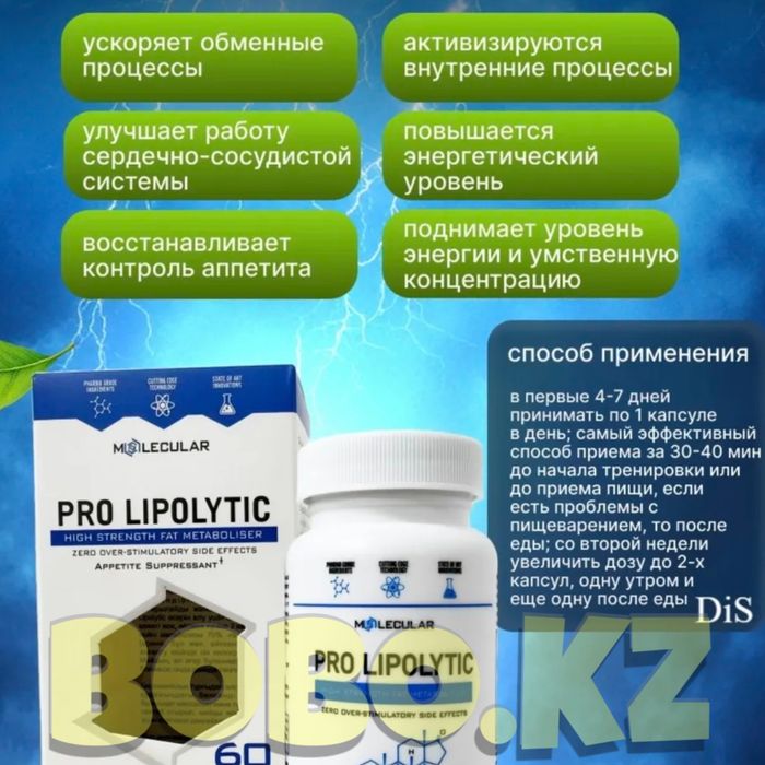 оригинал ПРО ЛИПОЛИТИК черная спирулина пантера