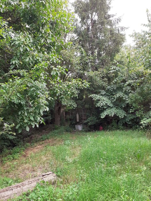 Teren Sosea Principala Dedulesti