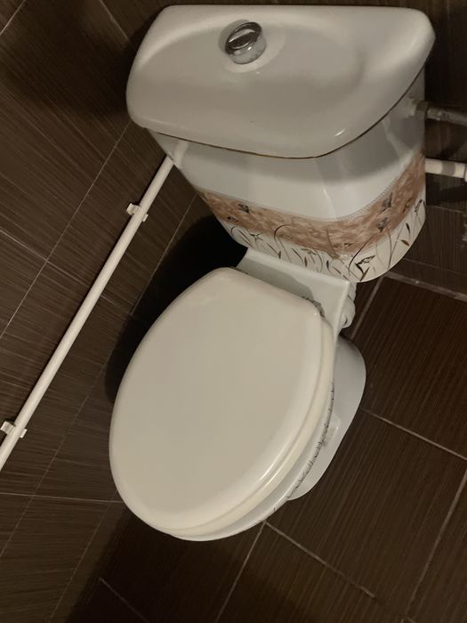 Set Ghiuveta Vas de toaleta