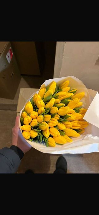 ТЮЛЬПАНЫ Оптом и в розницу