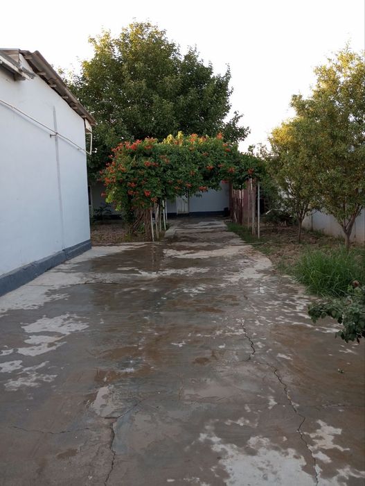 Ховли сотилади 6 сотих 6 хона