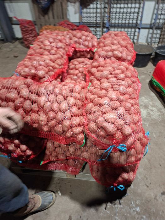 Cartofi pentru animale