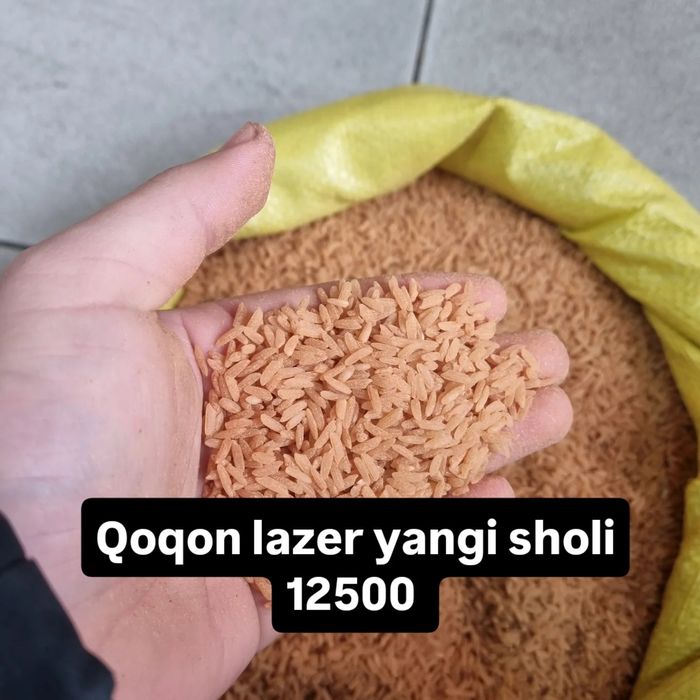 Istalgan hildagi guruch larni topib beramiz