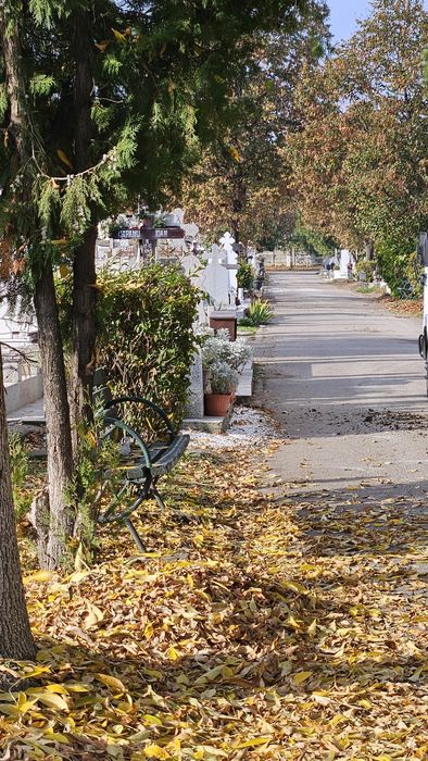 Loc de veci Cimitir Mihai Bravu - Clasa I