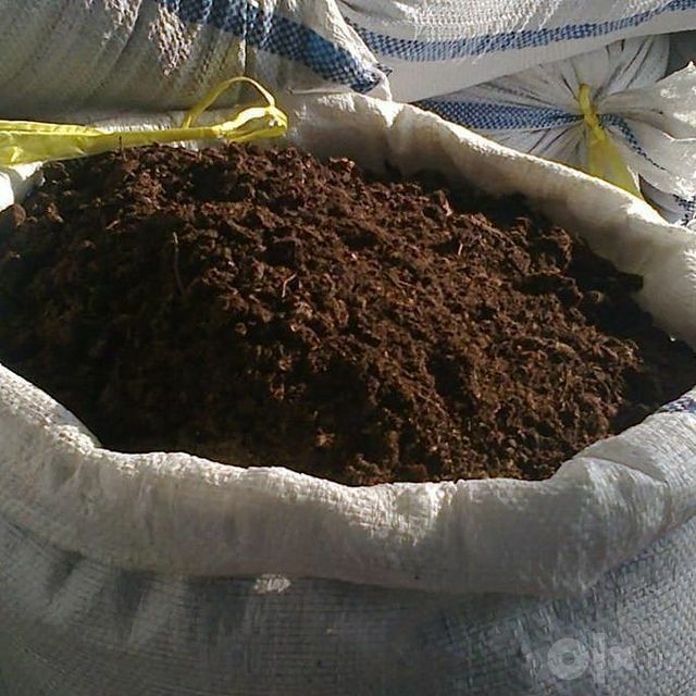 Биогомус элагланган