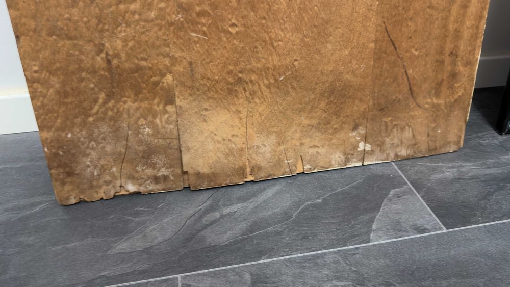 Pictura germana veche "Fata de pe Rin" - 85x58 cm