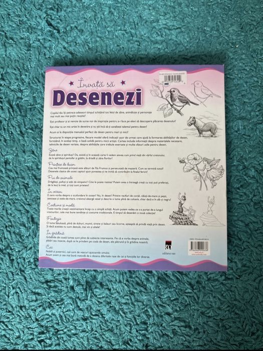 Invata sa desenezi lucruri minunate