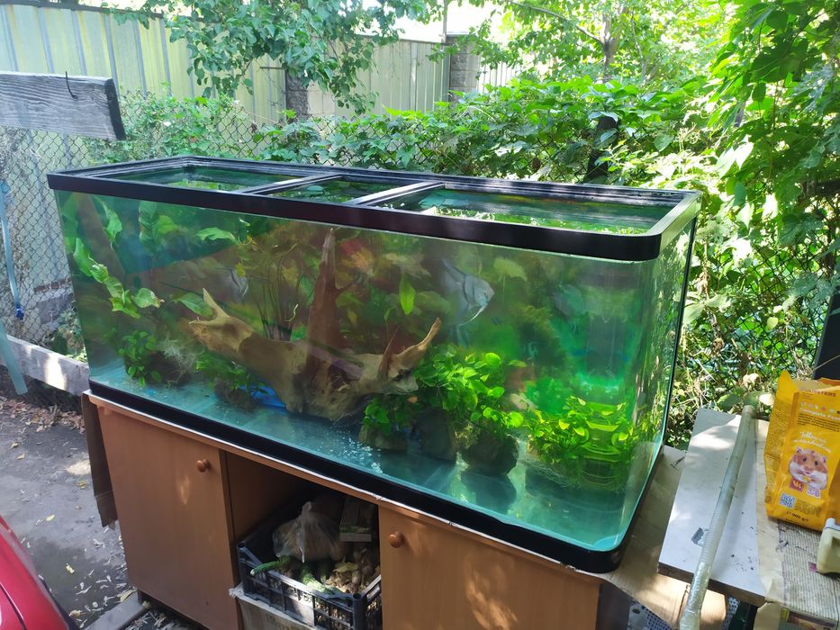 Заводской аквариум 440л .