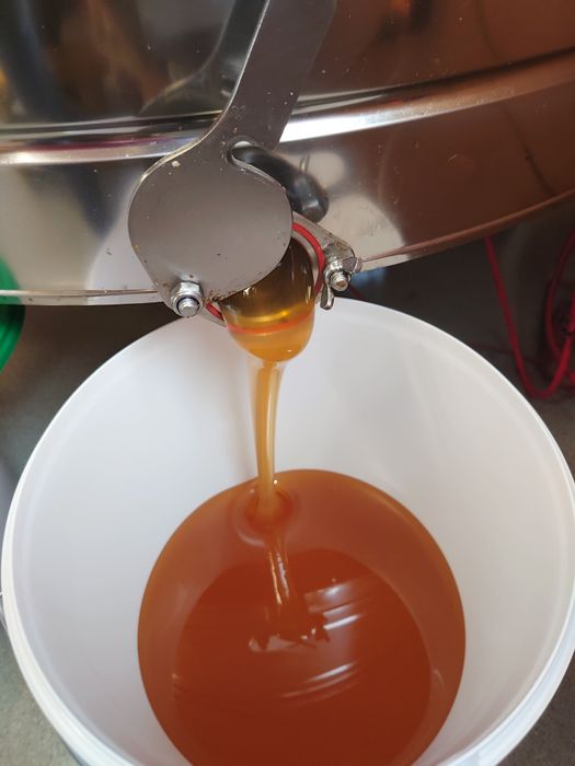 Мёд натуральный от пчеловода