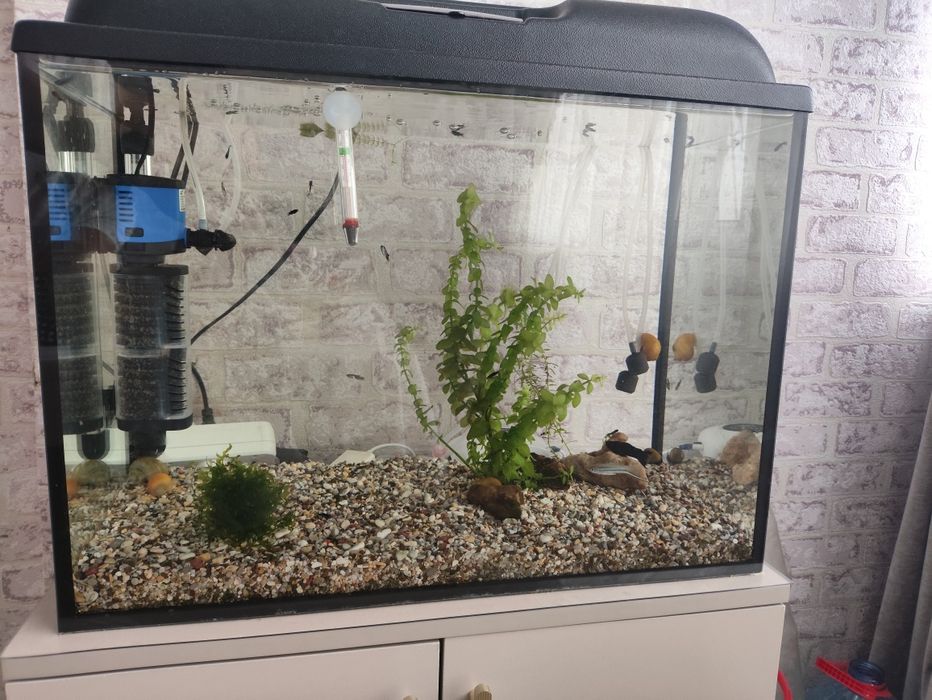 Продам Аквариум со всеми принодлежнестями