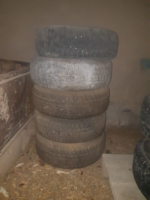 Авто шыни зимние