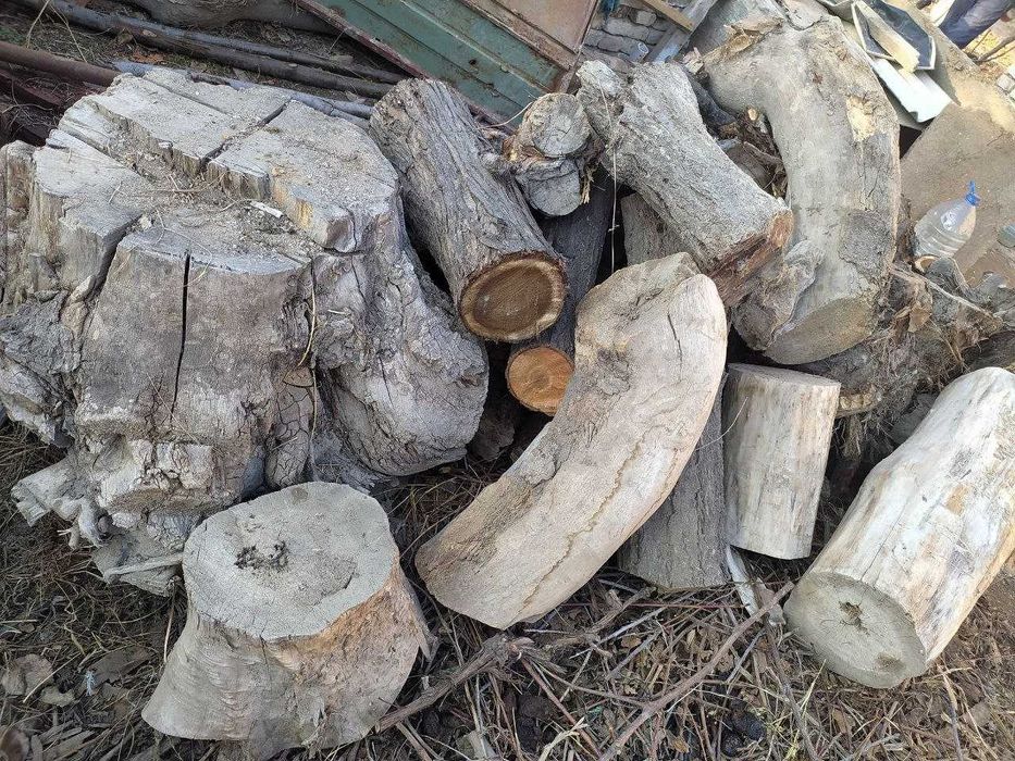 Утин сотилади. Катта дархтлар кунда ва танасилари.