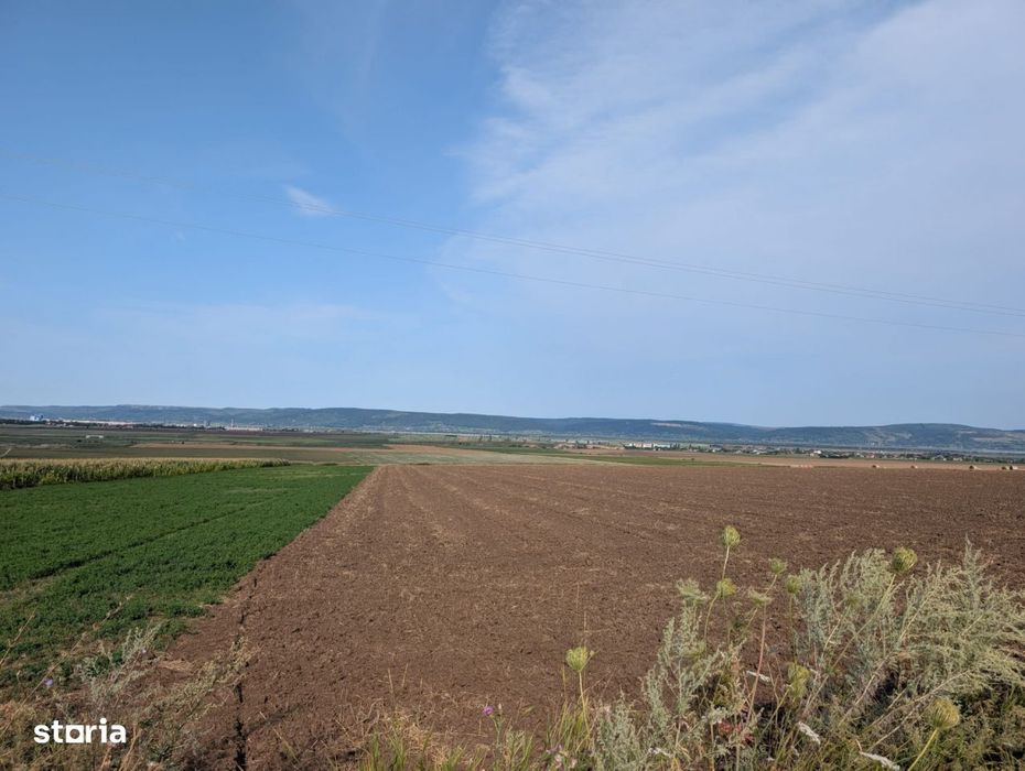 Sarata- langa Mun. Bacau- 4000 mp- oportunitate investitie
