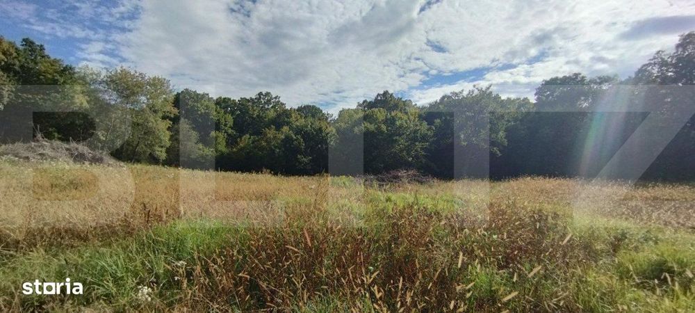 Teren intravilan, 1150 mp, Faget, Drumul Sf. Ion