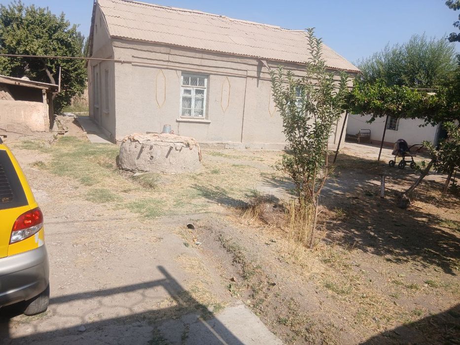 Ховли нарпай центрда  навоида 10.3 sutik