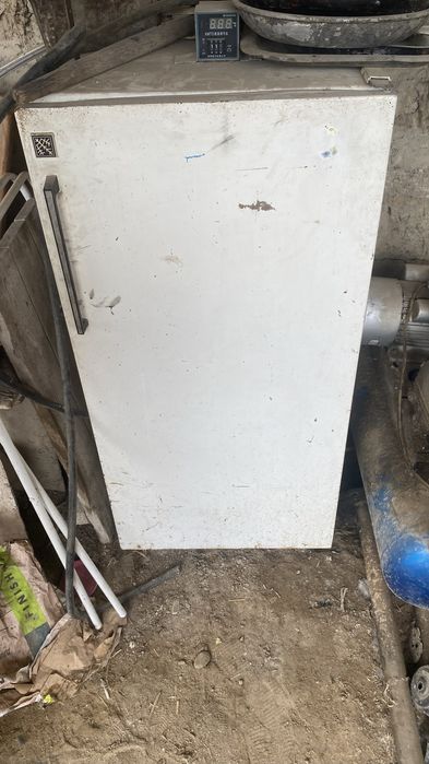 Инкубатор балапан шыгаратын