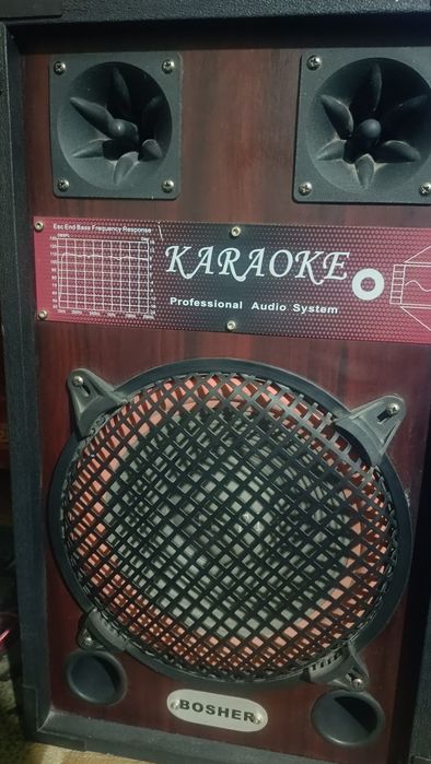 Караоке калонка 2 штук
