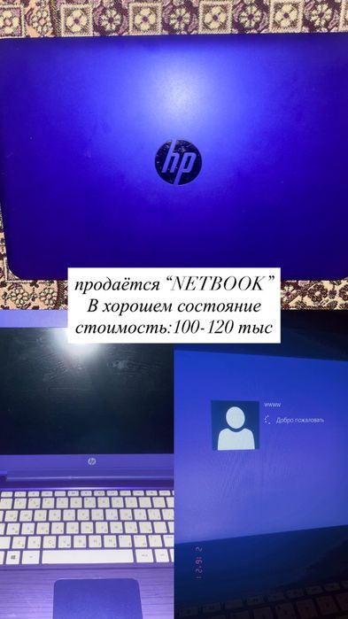 Netbook hp фиолетовый