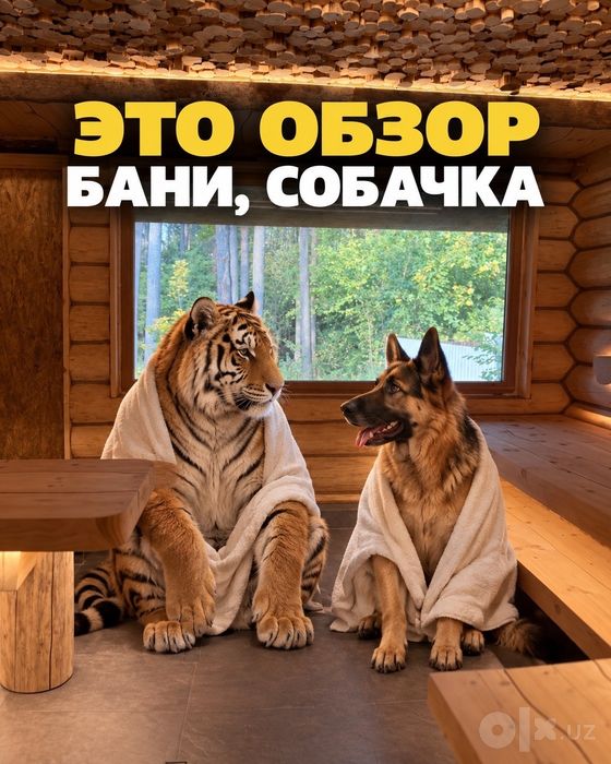 Строительство Бань, Финской Сауны