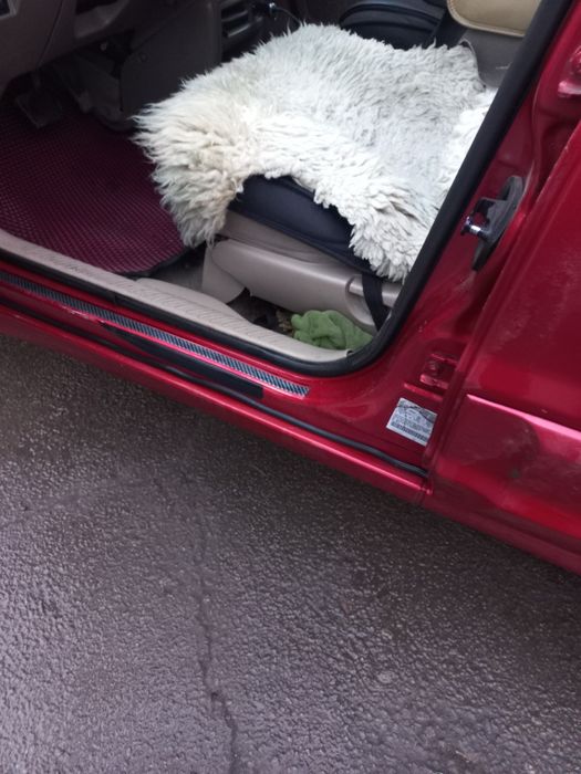 Проас Mazda tribute