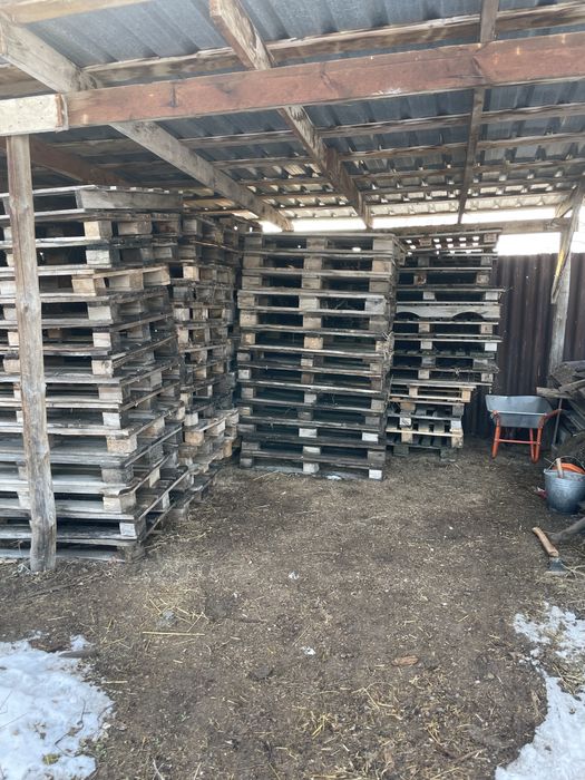 Палеты срочно продам