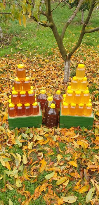Miere de Albine 100% naturală