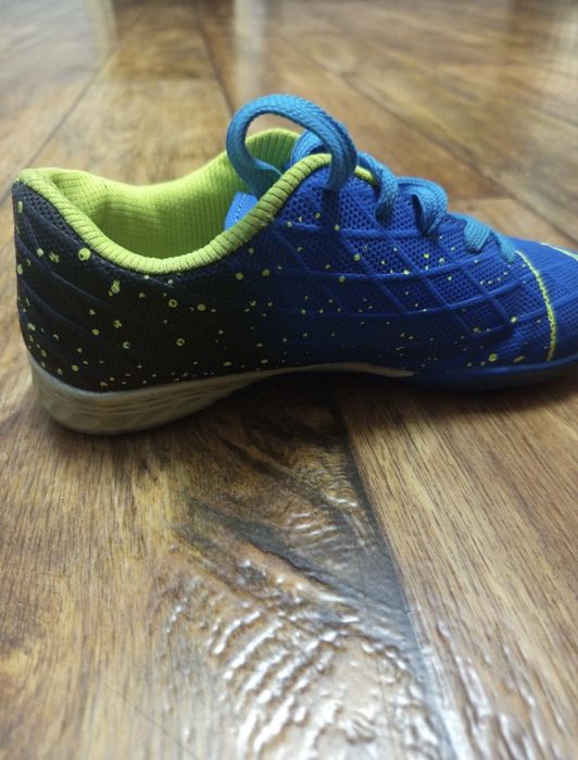 Обычный сороконожки