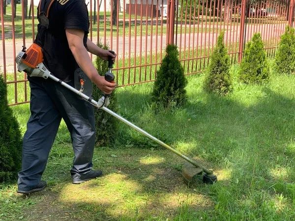 Servicii de cosit