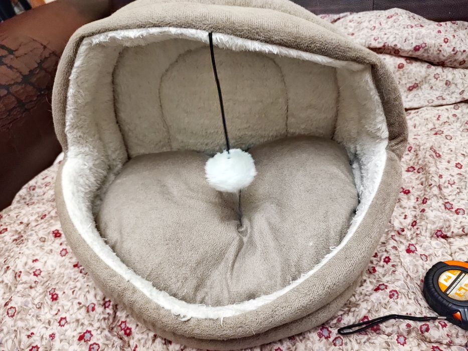 iglu "Pawise" pisici