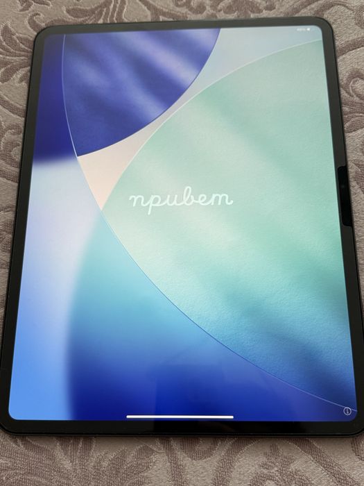 Ipad pro m5 256gb