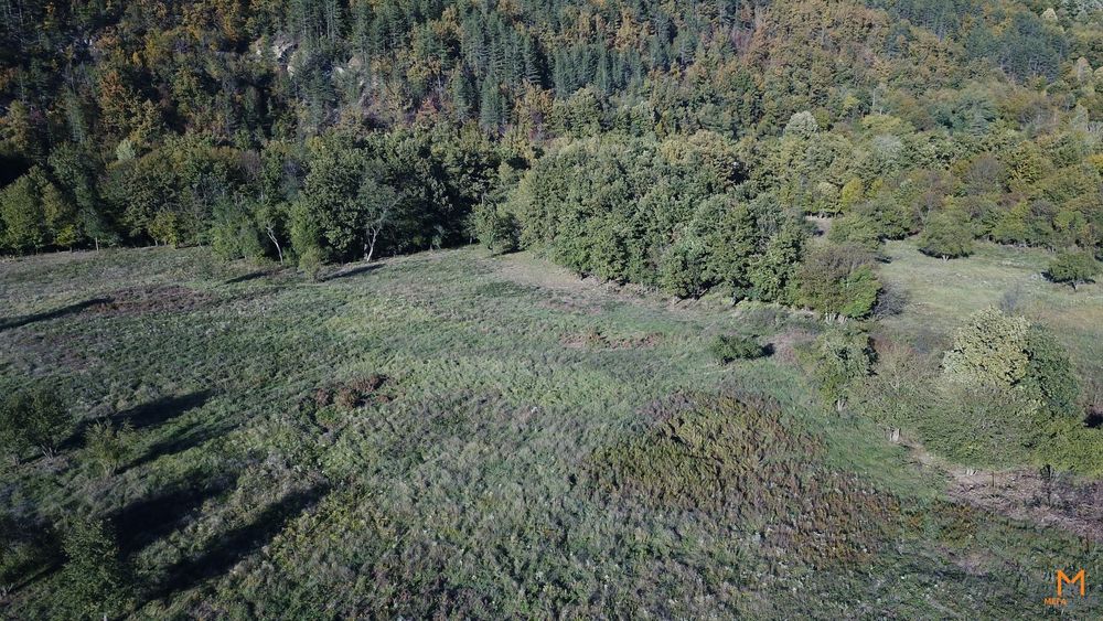 Продава се Парцел в с. Скандалото, Област Ловеч - 2050 кв.м за 13 €/кв.м - Снимка #4