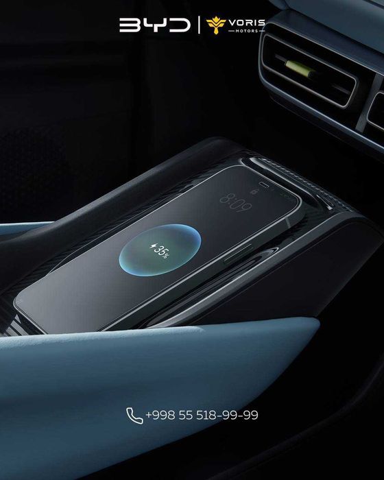 BYD SEAGULL 405 km flying 2025