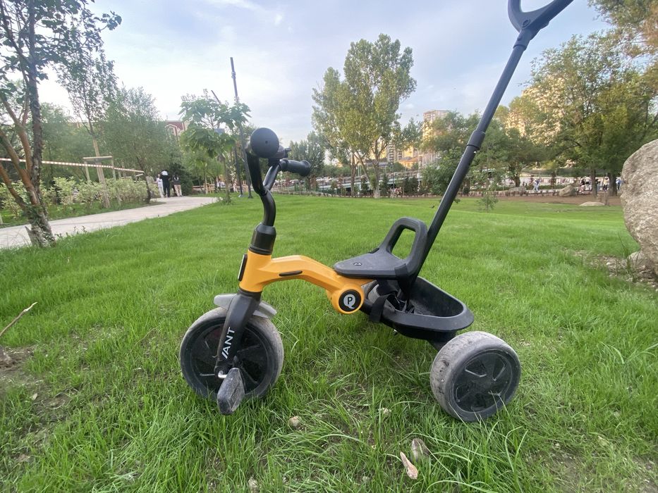 Трехколесный велосипед Qplay ANT