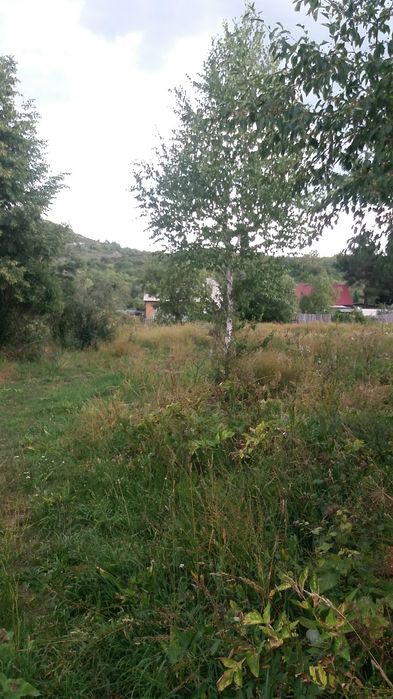 земельный участок