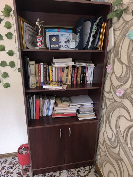 Книжный шкаф с двумя нижними шкафчиками