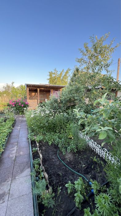 Продам дачу Костанай, проводят газ