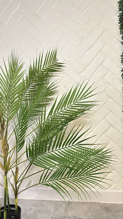 Искусственные  пальмы и диффенбахия